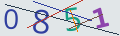 verifycode